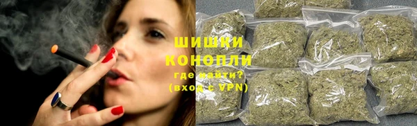 соль ск Кукмор