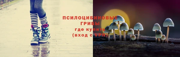 соль ск Кукмор