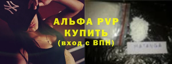 стаф Ладушкин