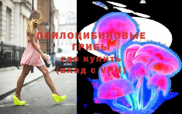 стаф Ладушкин