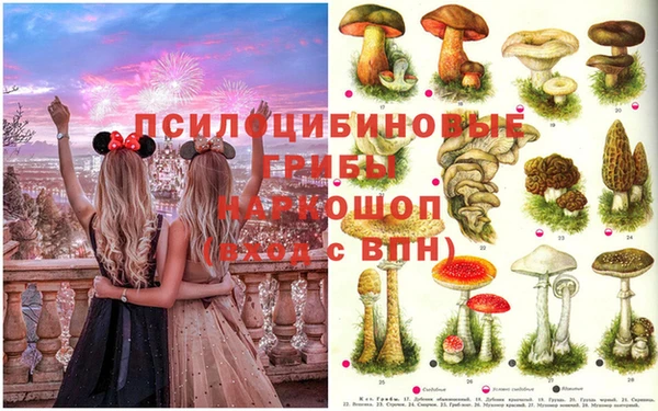 амф Куйбышев