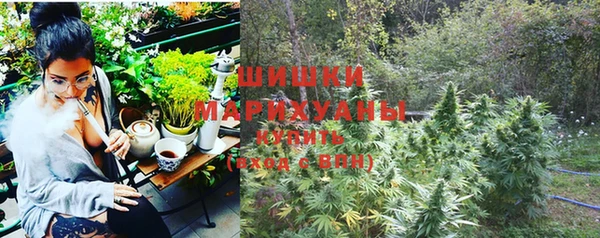 соль ск Кукмор