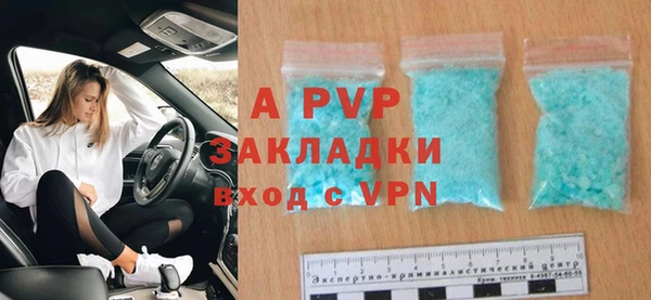 стаф Ладушкин