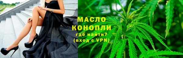 соль ск Кукмор