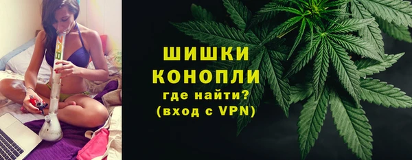 стаф Ладушкин