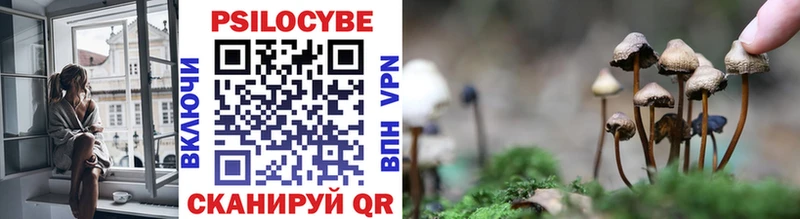 hydra ТОР  Курск  Галлюциногенные грибы MAGIC MUSHROOMS  где продают  