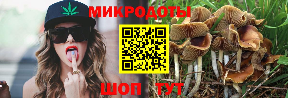 купить   Псилоцибиновые грибы прущие грибы  Галлюциногенные грибы мухоморы  Вход с VPN  Курск 